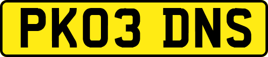 PK03DNS