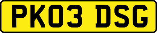 PK03DSG