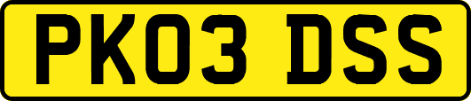 PK03DSS