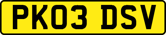 PK03DSV