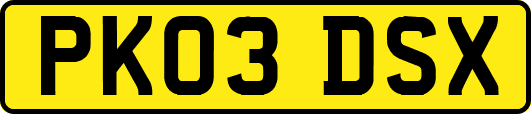PK03DSX