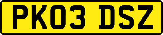 PK03DSZ