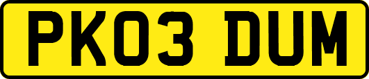 PK03DUM
