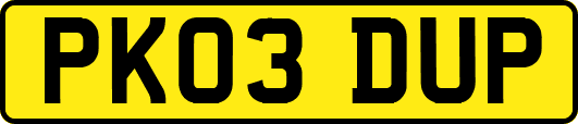 PK03DUP