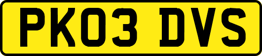 PK03DVS