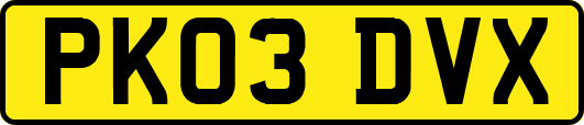 PK03DVX