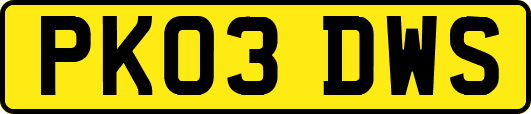 PK03DWS