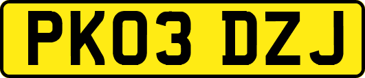 PK03DZJ