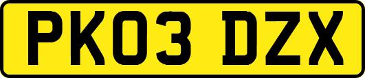 PK03DZX