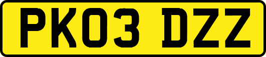 PK03DZZ