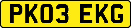 PK03EKG