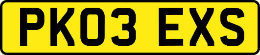 PK03EXS