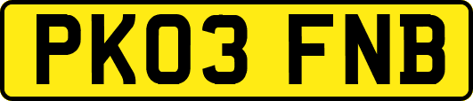 PK03FNB