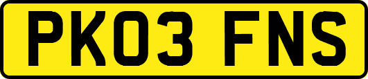 PK03FNS