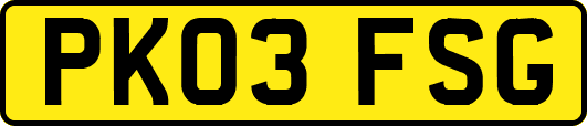 PK03FSG