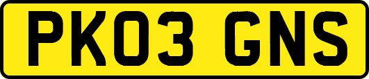 PK03GNS