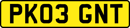 PK03GNT