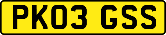 PK03GSS