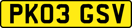 PK03GSV