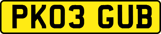 PK03GUB