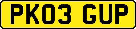 PK03GUP