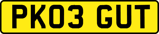 PK03GUT