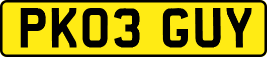 PK03GUY