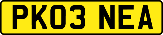 PK03NEA
