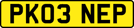PK03NEP
