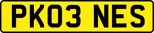 PK03NES