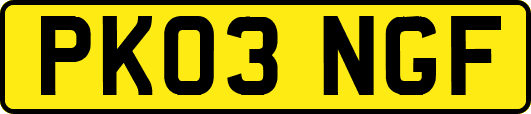 PK03NGF