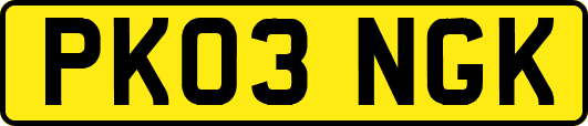 PK03NGK
