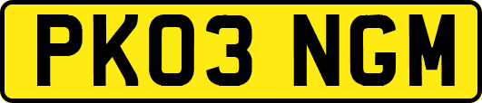 PK03NGM