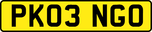 PK03NGO