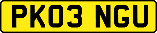PK03NGU