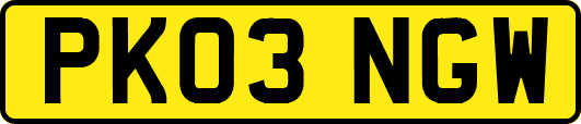 PK03NGW