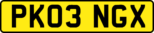 PK03NGX