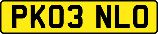 PK03NLO