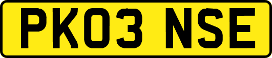 PK03NSE