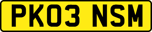 PK03NSM