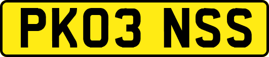 PK03NSS