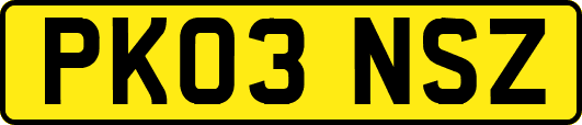 PK03NSZ