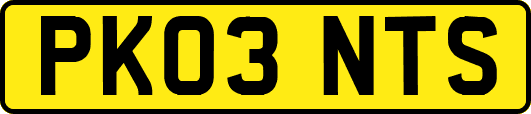 PK03NTS