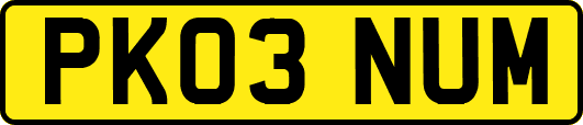 PK03NUM