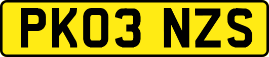 PK03NZS