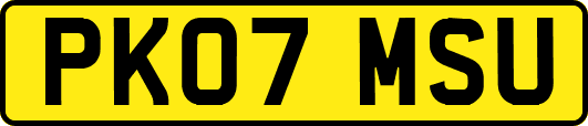 PK07MSU