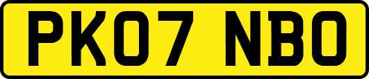 PK07NBO