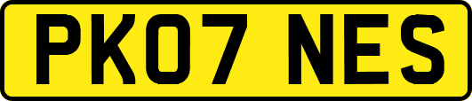 PK07NES