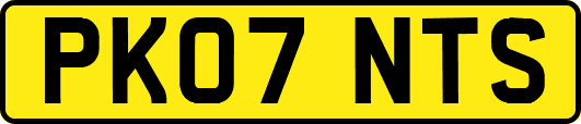 PK07NTS