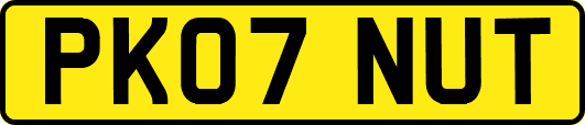 PK07NUT